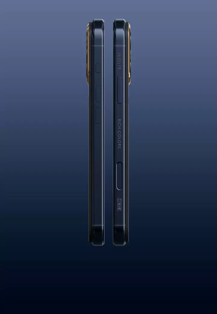 Limited Edition Gold Navy