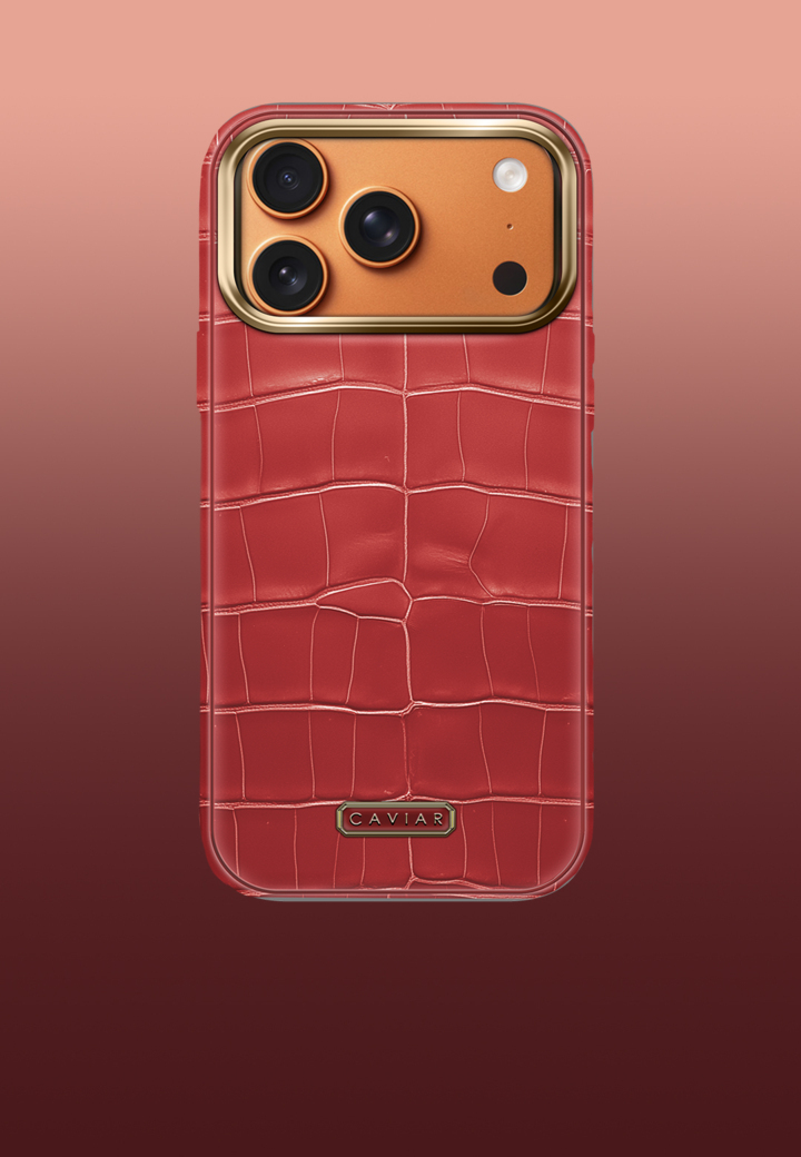 Case with orange body Phoenix