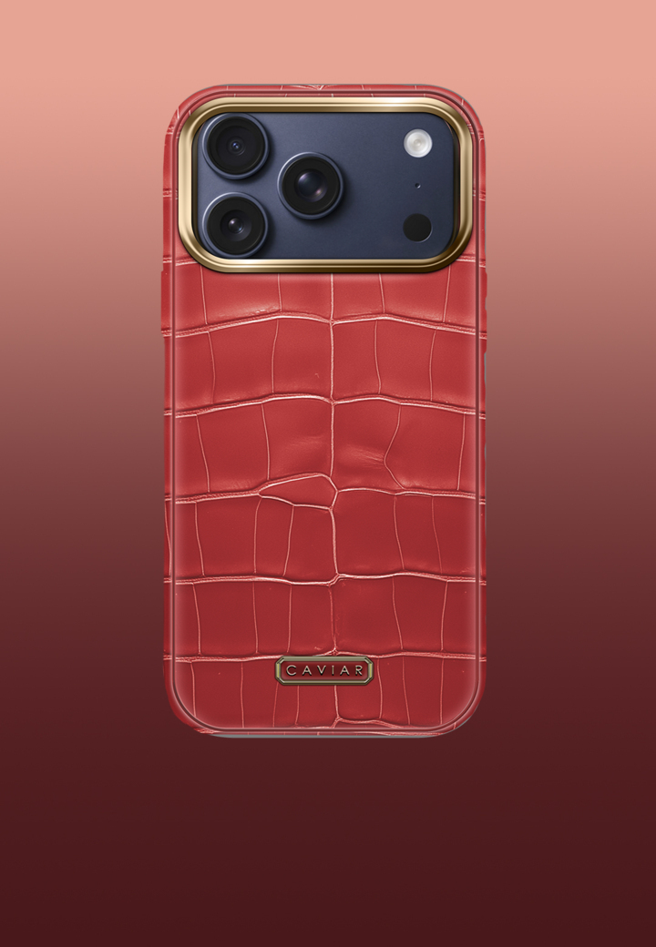 Case with blue body Phoenix