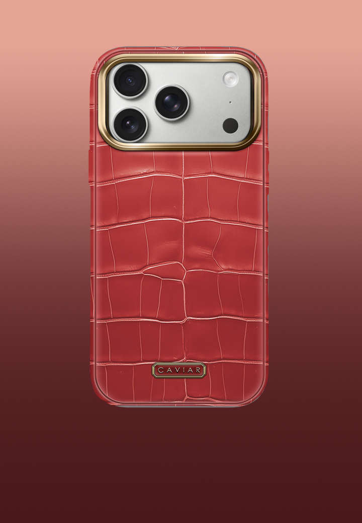 Case with white body Phoenix