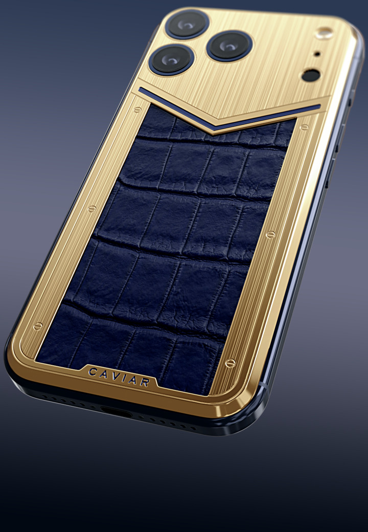 Leather panel Orion